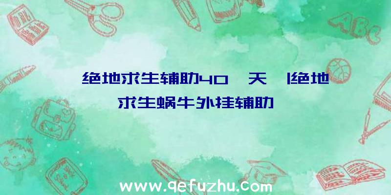 「绝地求生辅助40一天」|绝地求生蜗牛外挂辅助